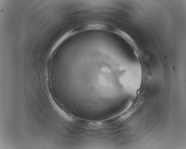 X0000064040859200601271200