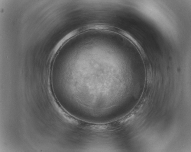 X0000064040861200601271200