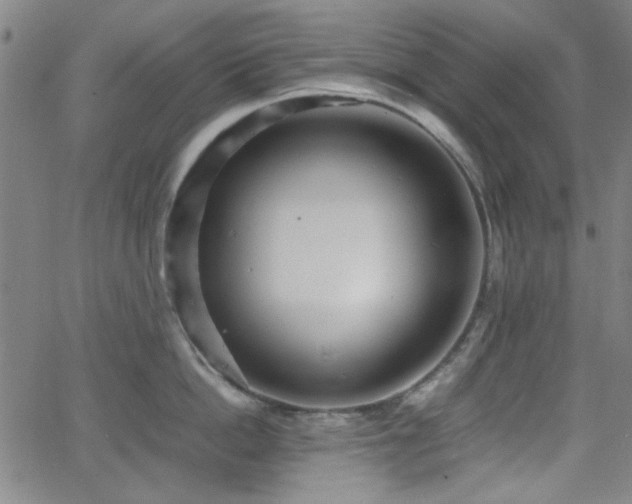 X0000064040862200601271200