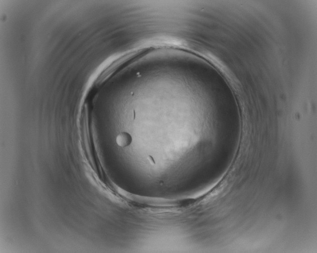 X0000064040864200601271200