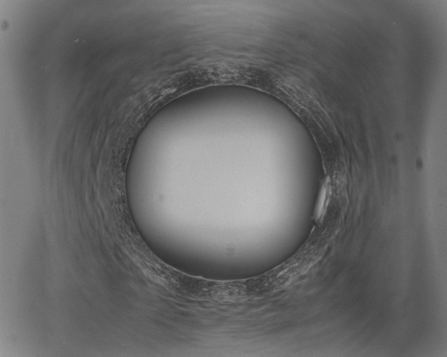 X0000064040865200601271200