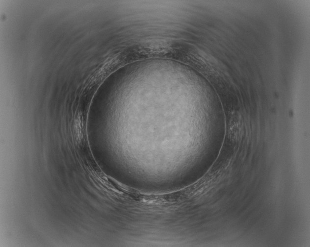 X0000064040866200601271200