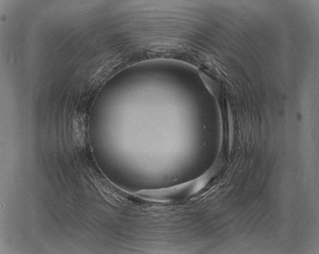 X0000064040868200601271159