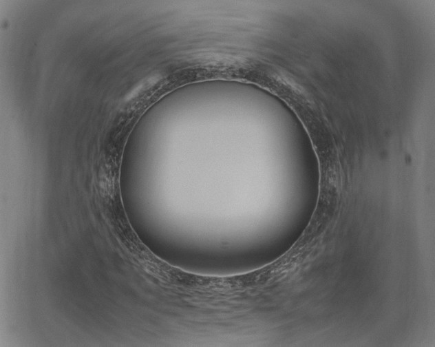 X0000064040869200601271159