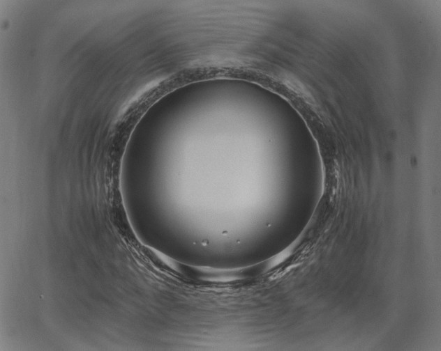 X0000064040872200601271159