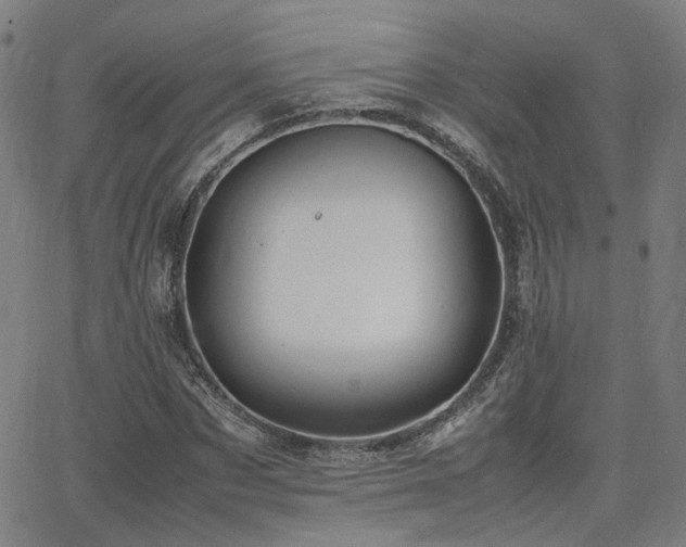 X0000064040873200601271159