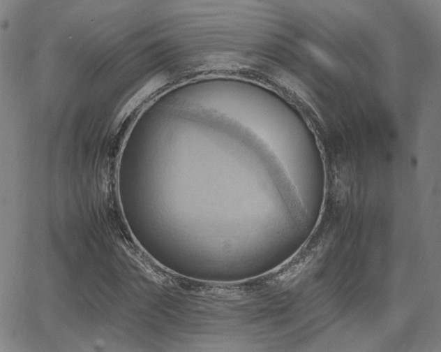 X0000064040874200601271159