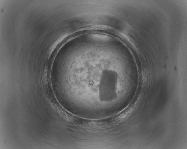 X0000064040875200601271159