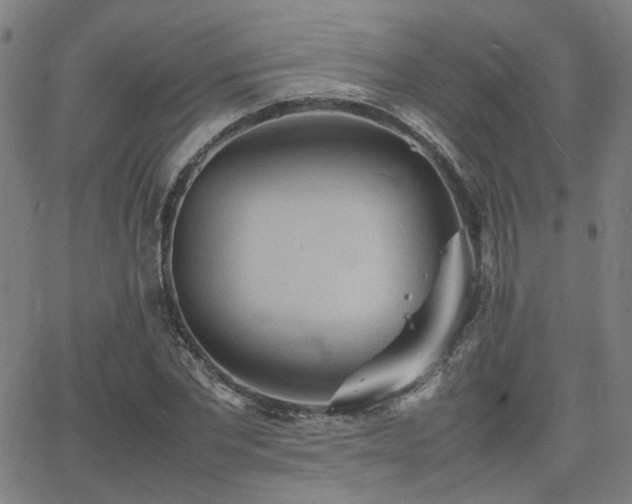 X0000064040877200601271159