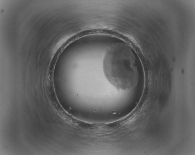 X0000064040879200601271159