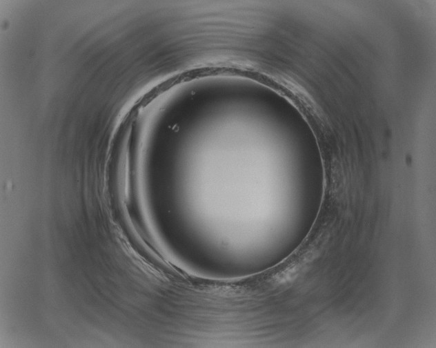 X0000064040880200601271159