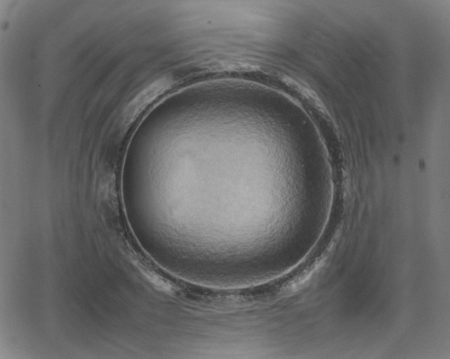 X0000064040881200601271159