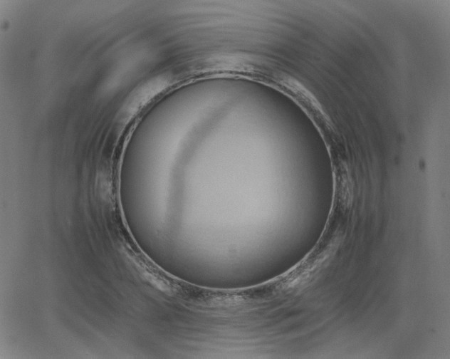 X0000064040882200601271159