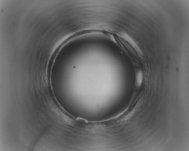 X0000064040884200601271159