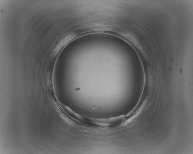 X0000064040889200601271159