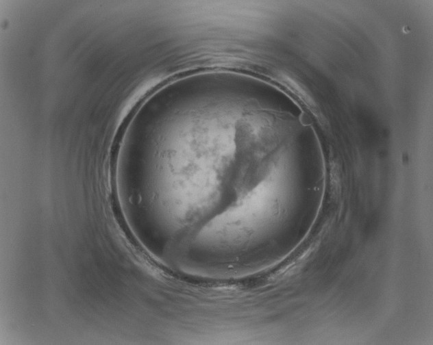 X0000064040891200601271159