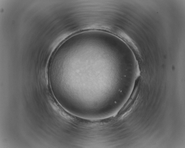 X0000064040892200601271159