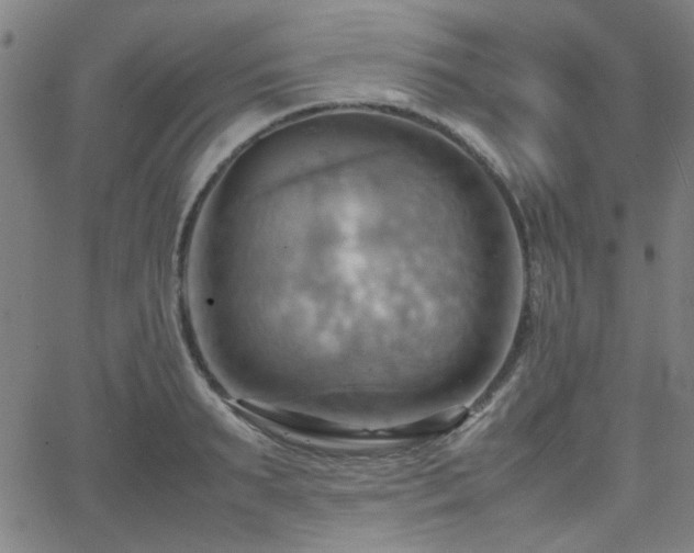 X0000064040895200601271159