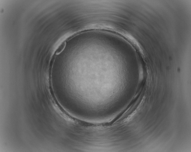 X0000064040896200601271159