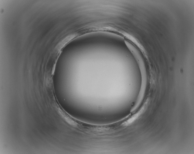 X0000064040897200601271159