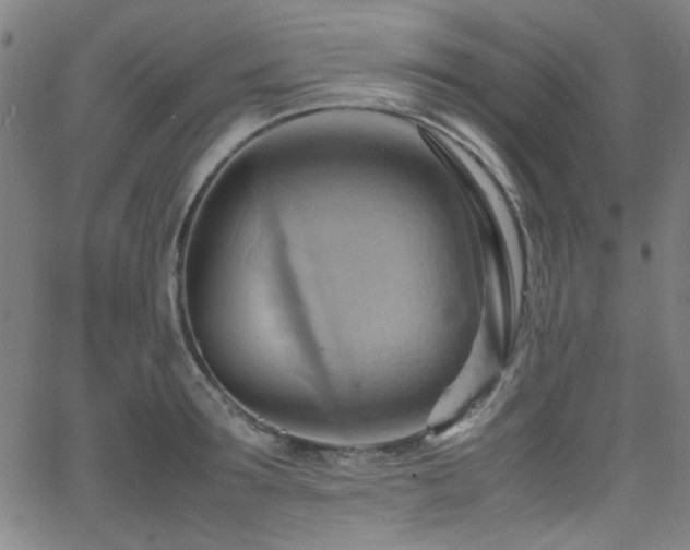 X0000064040899200601271159