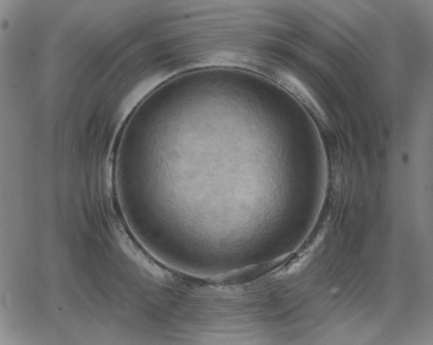 X0000064040900200601271159