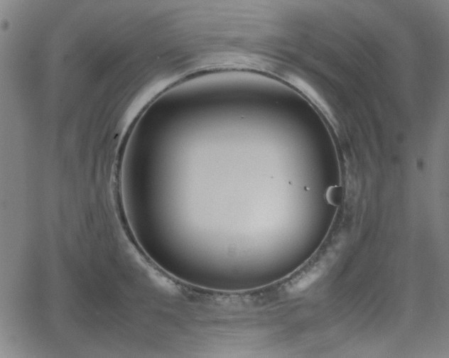 X0000064040901200601271159