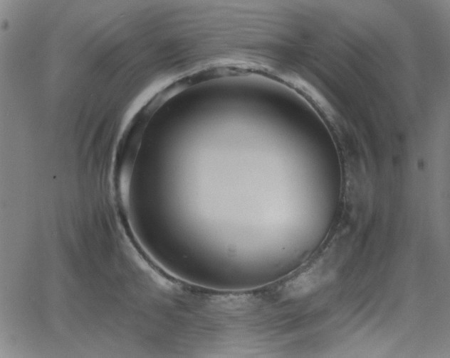 X0000064040902200601271159