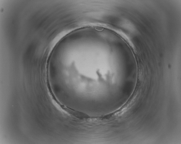 X0000064040903200601271159