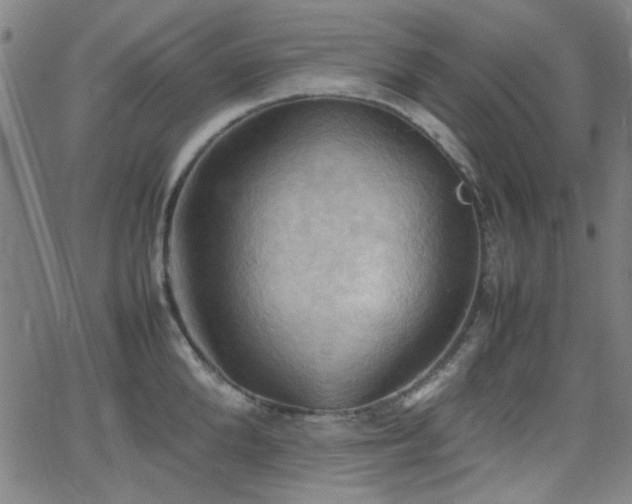 X0000064040904200601271159