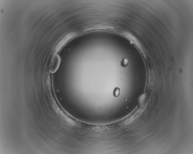 X0000064040906200601271159