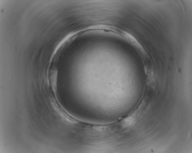 X0000064040908200601271159