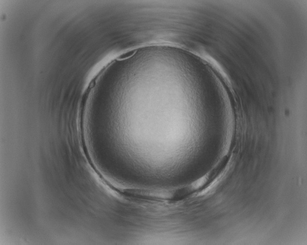 X0000064040910200601271159