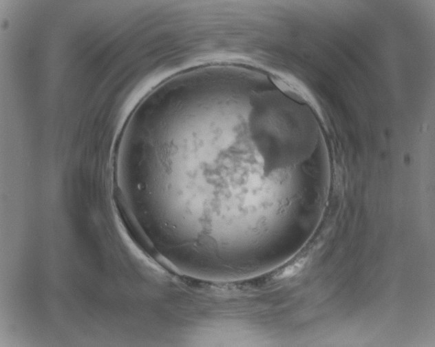 X0000064040911200601271159