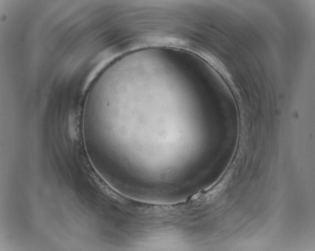 X0000064040912200601271159