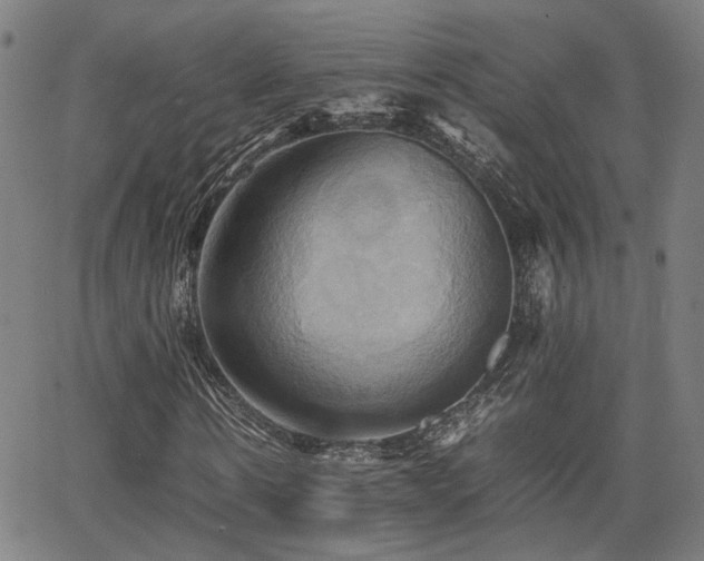 X0000064040914200601271158