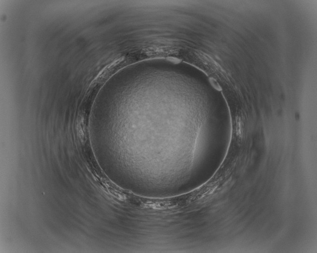 X0000064040915200601271158