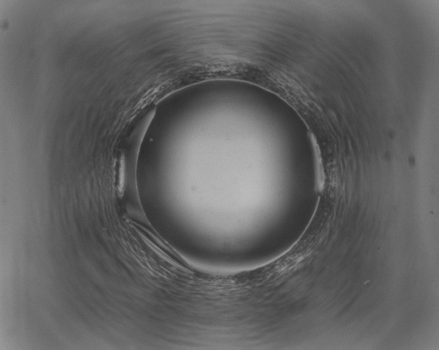 X0000064040916200601271158