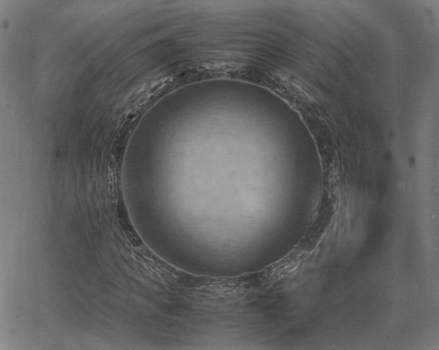 X0000064040917200601271158