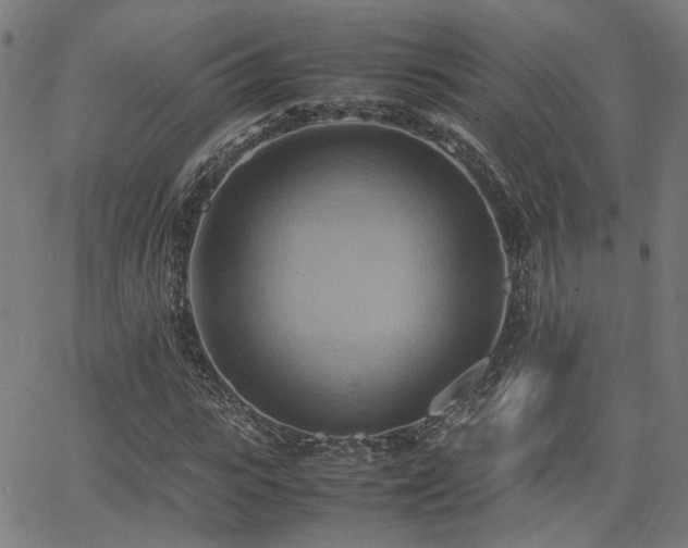 X0000064040919200601271158