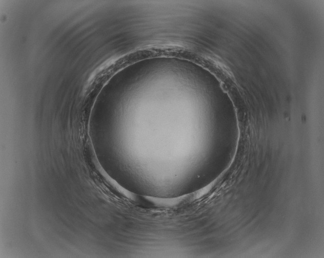 X0000064040920200601271158