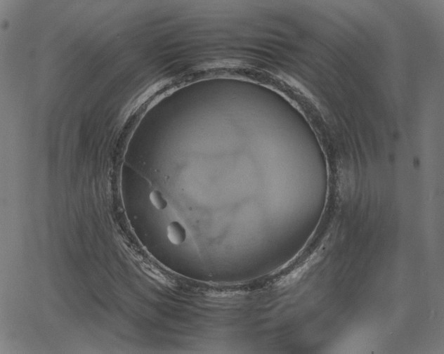 X0000064040921200601271158