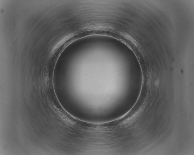 X0000064040922200601271158