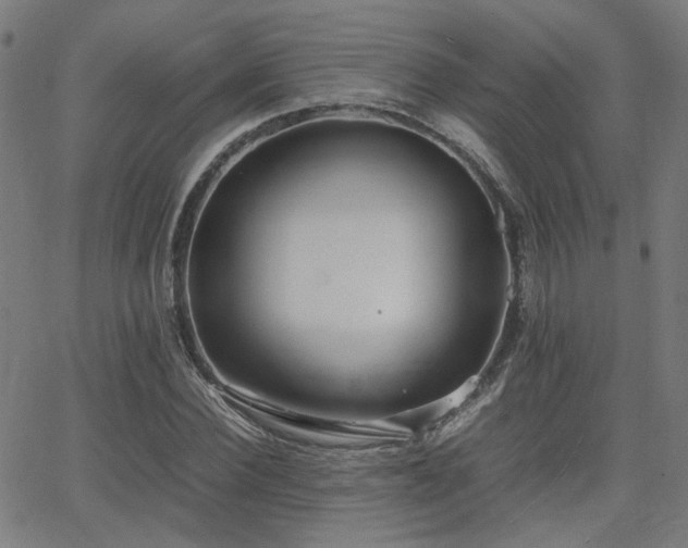 X0000064040924200601271158