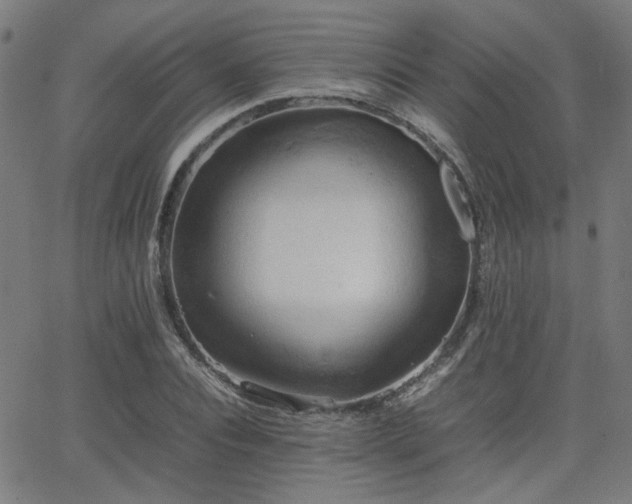 X0000064040928200601271158