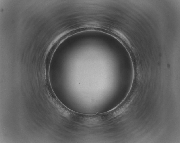 X0000064040931200601271158