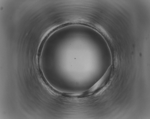 X0000064040932200601271158