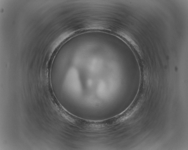 X0000064040933200601271158