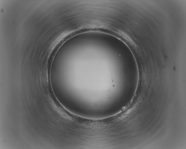 X0000064040934200601271158