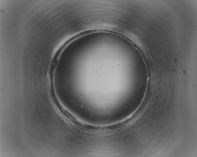 X0000064040936200601271158